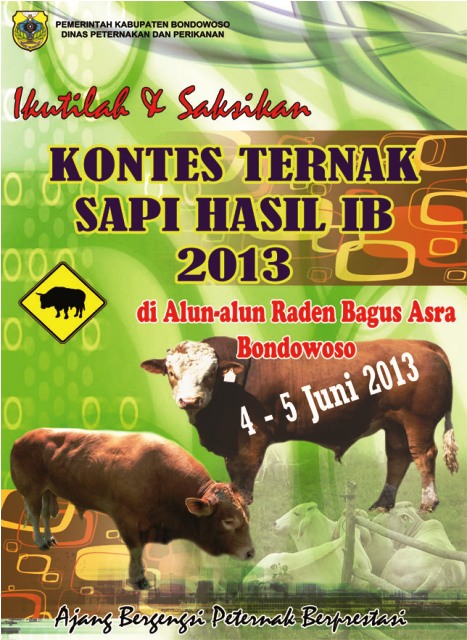 KONTES SAPI HASIL IB KABUPATEN BONDOWOSO 2013