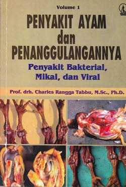 Digital Pustaka 13