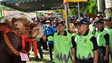 kontes bondowoso 2014