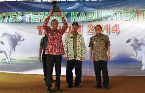 kontes tuban 2014
