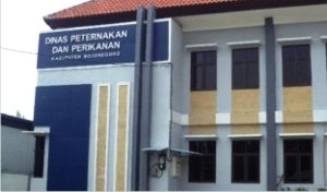 kontes ternak bojonegoro 2014