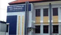 kontes ternak bojonegoro 2014