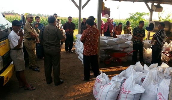 omset 100 juta