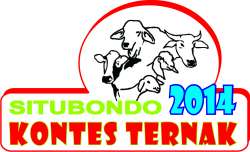 kontes situbondo 2014
