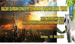 bazar qurban 2014
