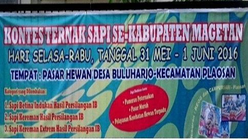 kontes ternak magetan - agenda