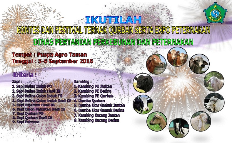 festival ternak qurban sidoarjo
