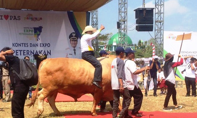 kontes pasuruan 2016