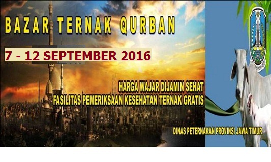 bazar ternak qurban 2016