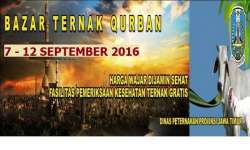 bazar ternak qurban 2016