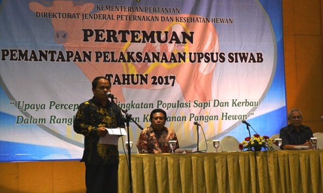 upsus siwab