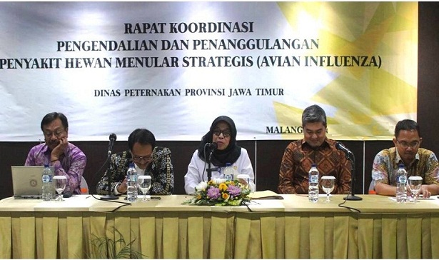 rakor phms 2016