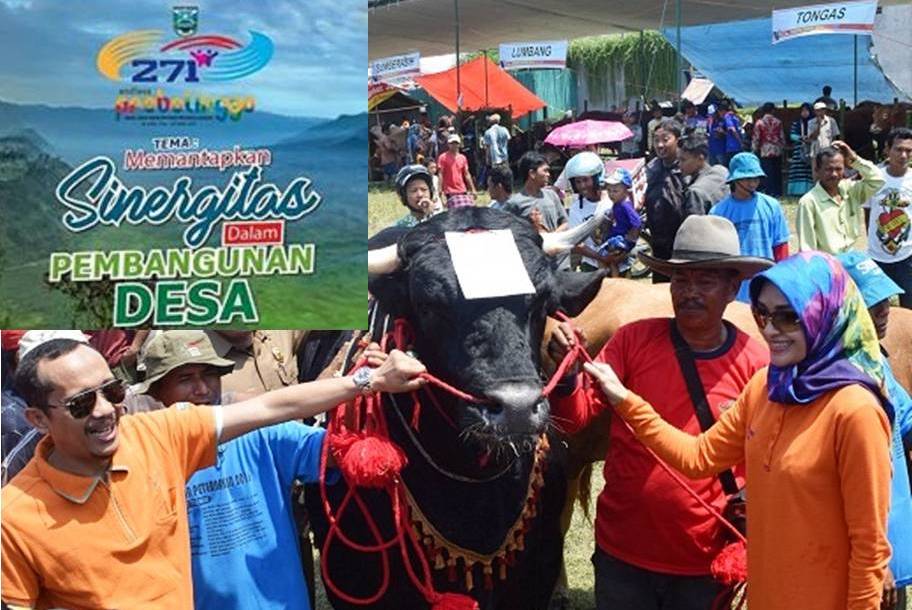 kontes ternak probolinggo 2017