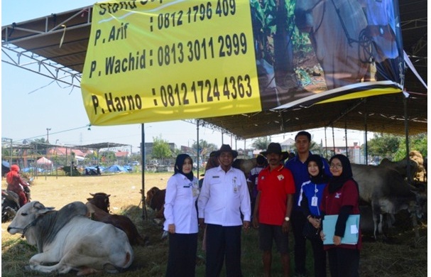 pemeriksaan qurban 2017