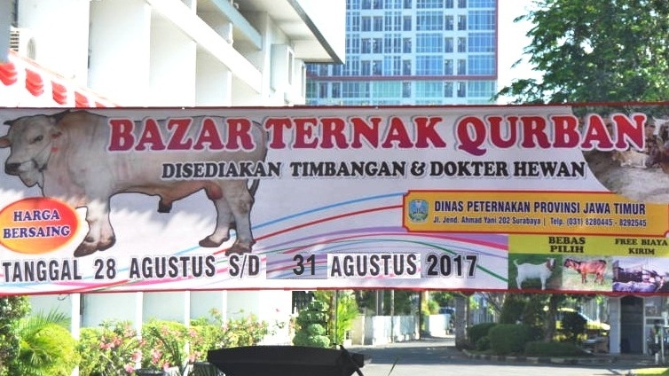 bazar qurban 2017