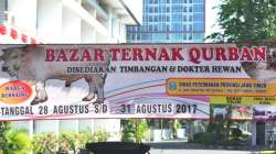 bazar qurban 2017