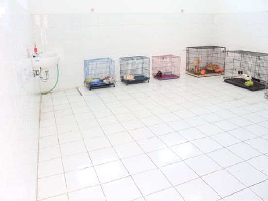 RUMAH SAKIT HEWAN  DINAS PETERNAKAN PROVINSI JAWA TIMUR MENERIMA TITIP HEWAN KESAYANGAN SAAT MUDIK LEBARAN