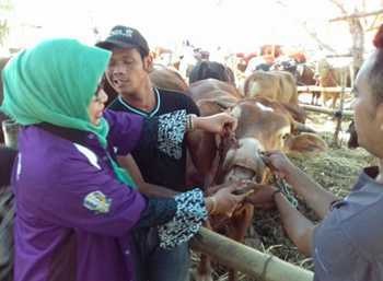 PERSIAPAN MENJELANG IDUL ADHA