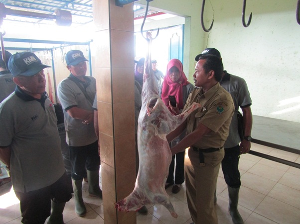 BIMTEK PENATALAKSANAAN PEMOTONGAN HEWAN QURBAN (PADA TAKMIR MASJID)  TAHUN 2018