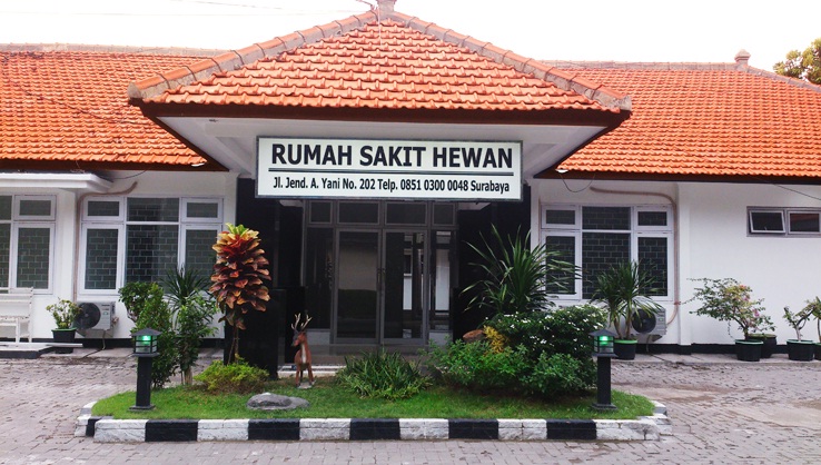 RUMAH SAKIT HEWAN  DINAS PETERNAKAN PROVINSI JAWA TIMUR MENERIMA TITIP HEWAN KESAYANGAN SAAT MUDIK LEBARAN 2019