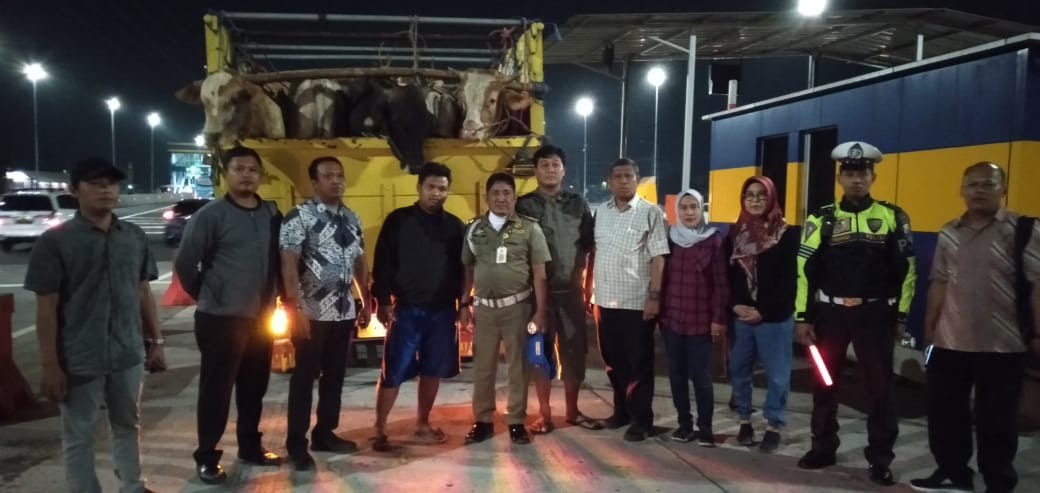 sidak lalu lintas hewan
