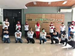 caring koordinasi upt ib