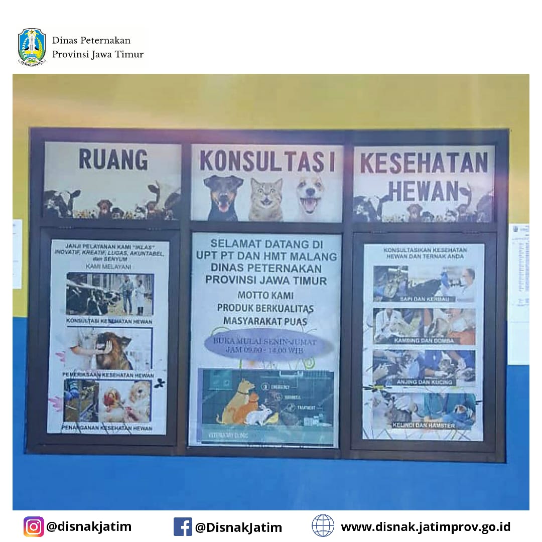 upt singosari