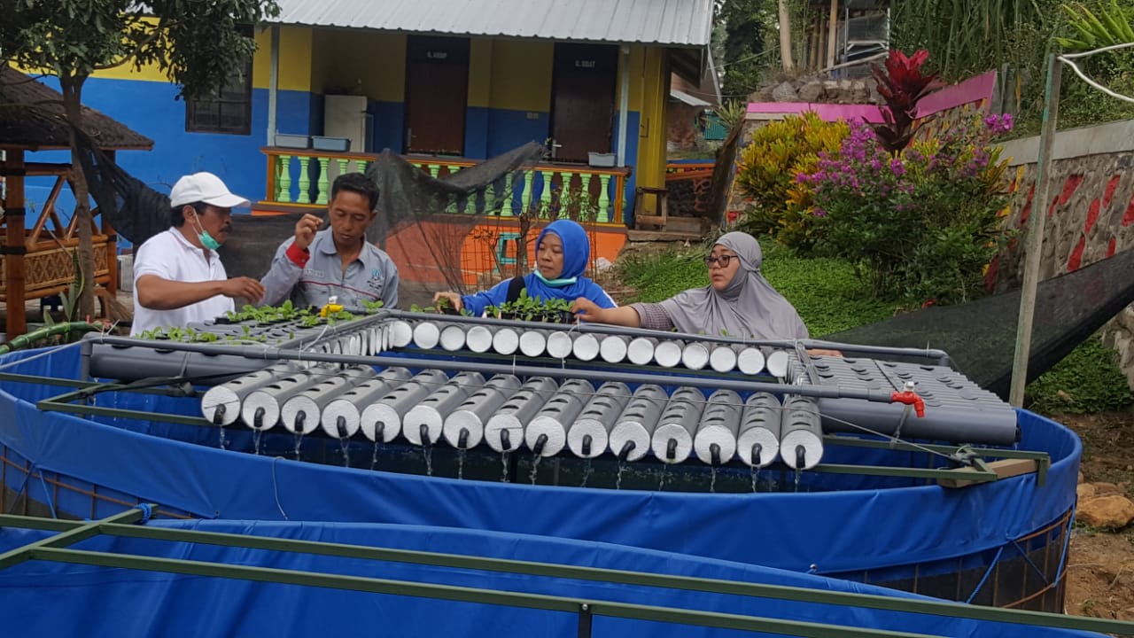 sitekadtabah2