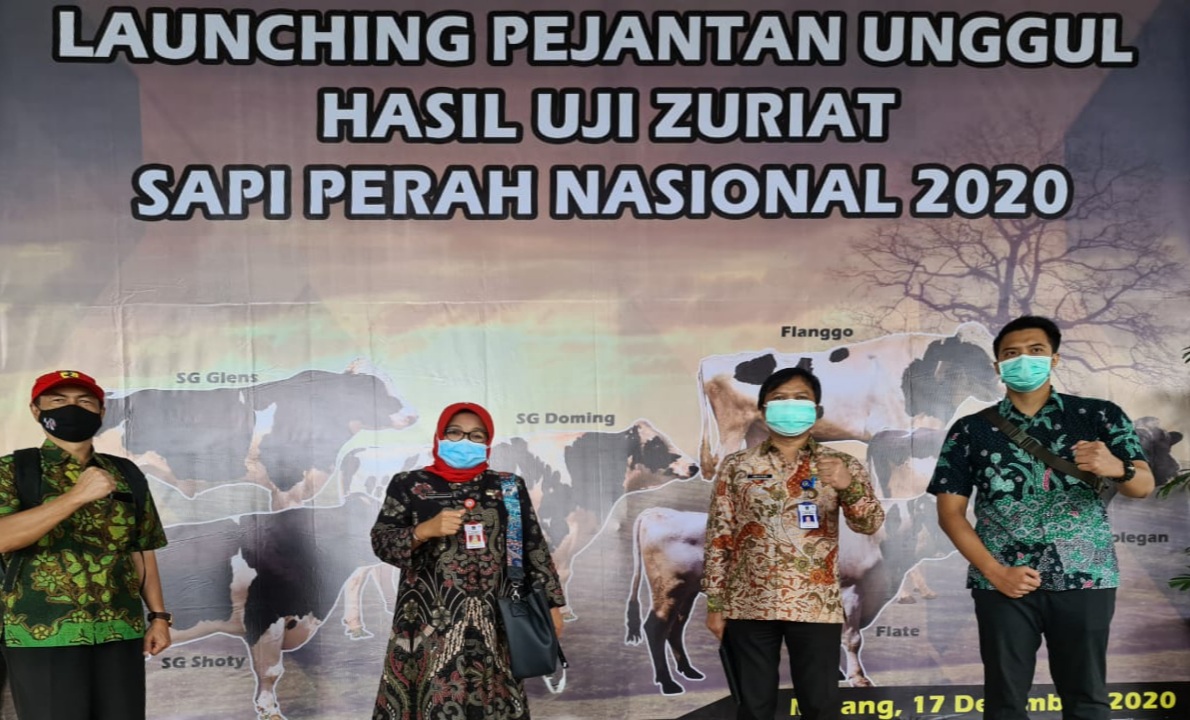uji zuriat 1