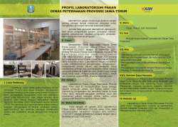 leaflet belakang