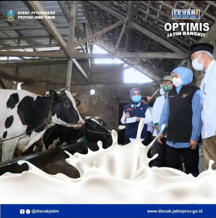 produksi susu 2021