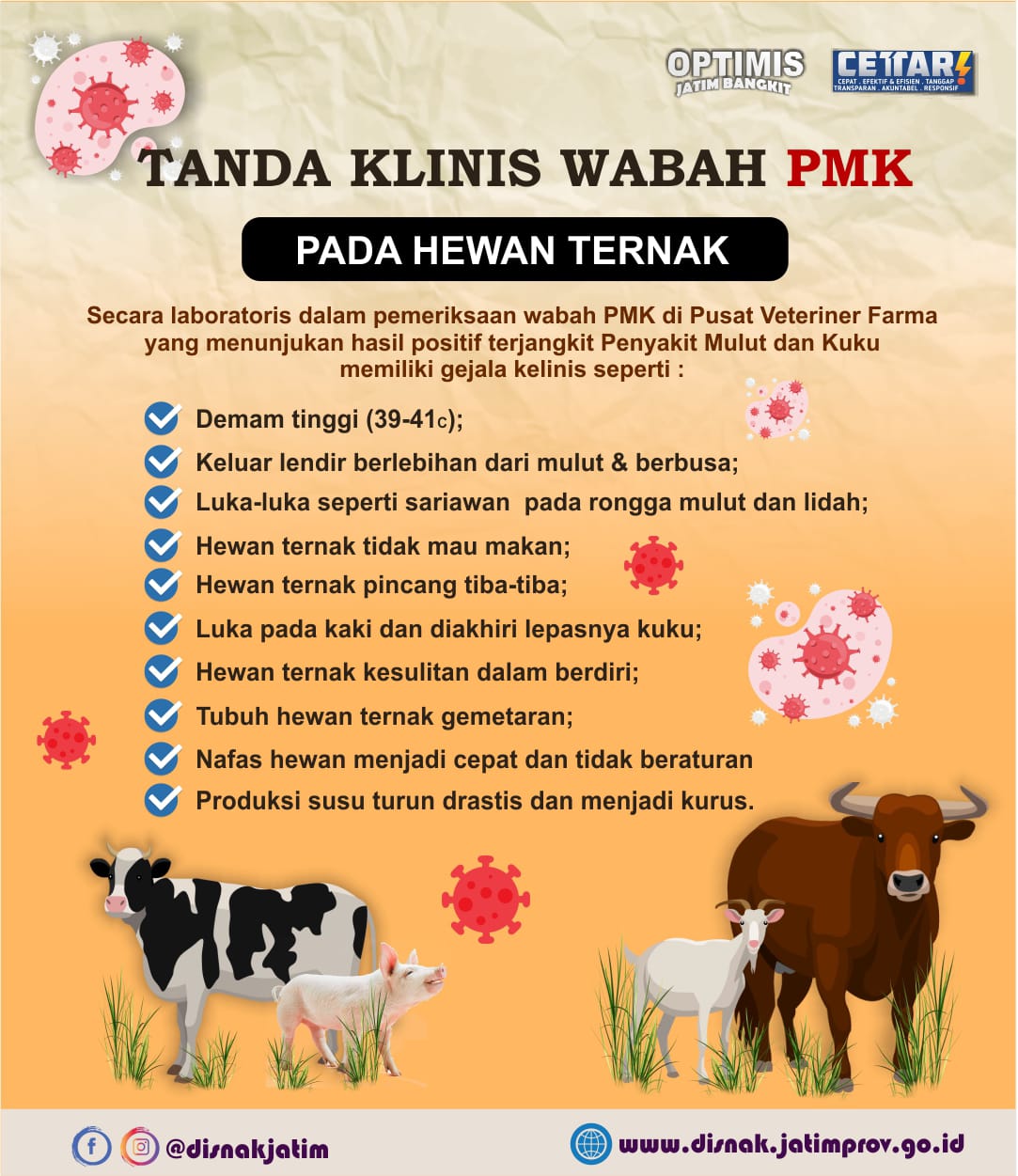 pmk 2