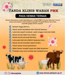 pmk 2