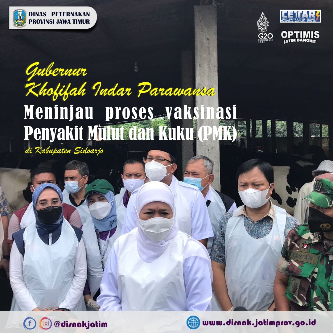 vaksinasi pmk sidoarjo cover