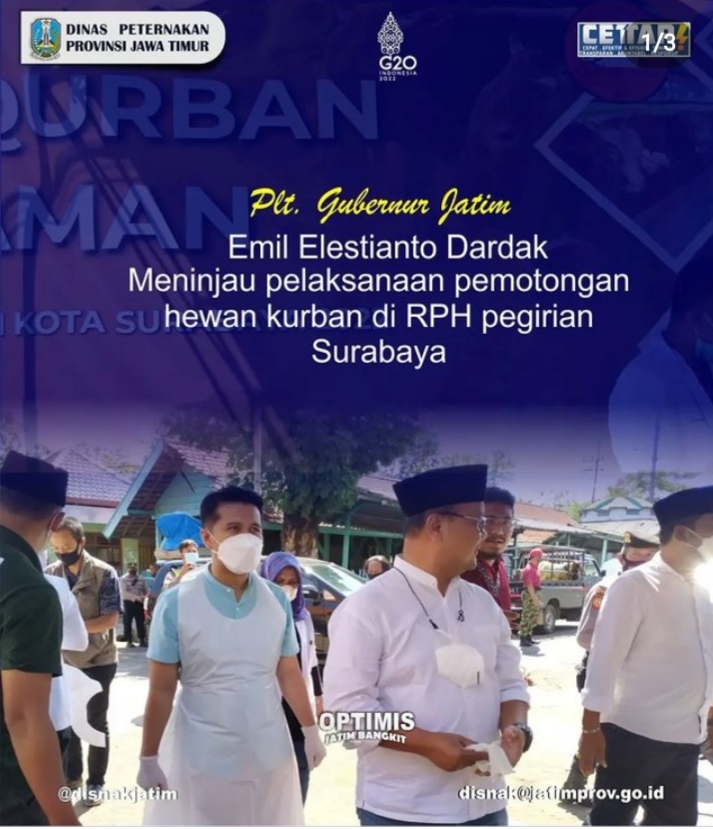 plt gub di RPH pegirian