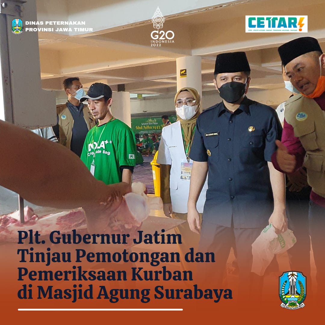 peninjauan kurban di masjid agung