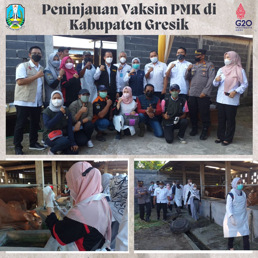 vaksin gresik tahap i