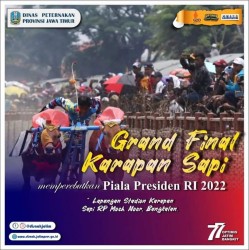 karapan sapi 2022