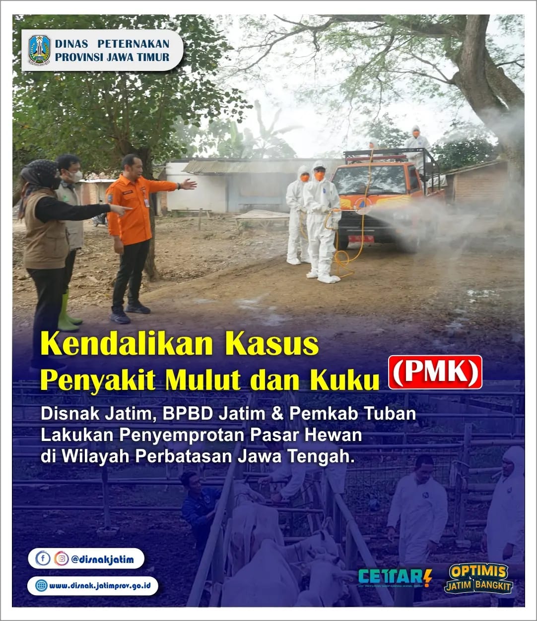 penyemprotan PMK