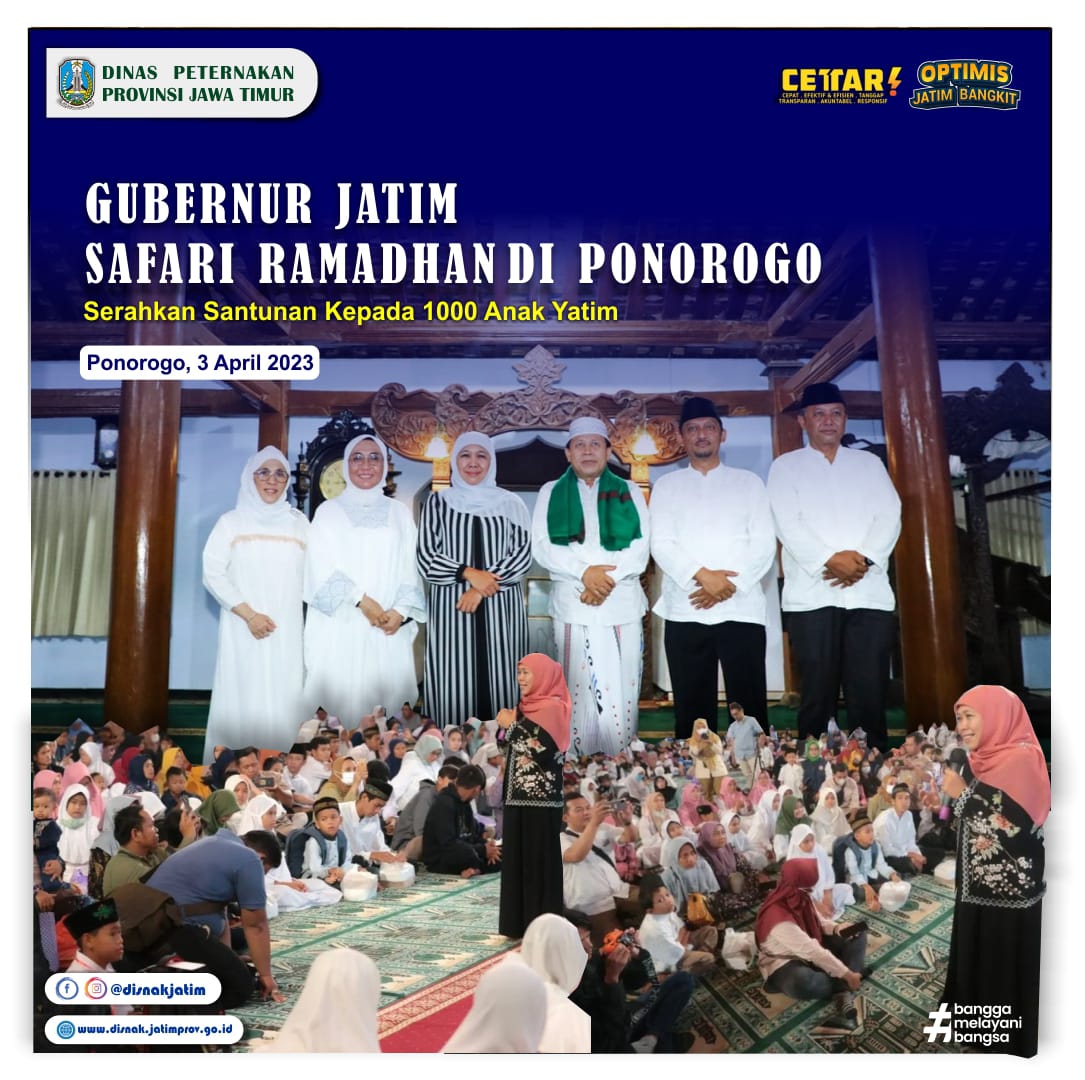 safari gubernur 2023