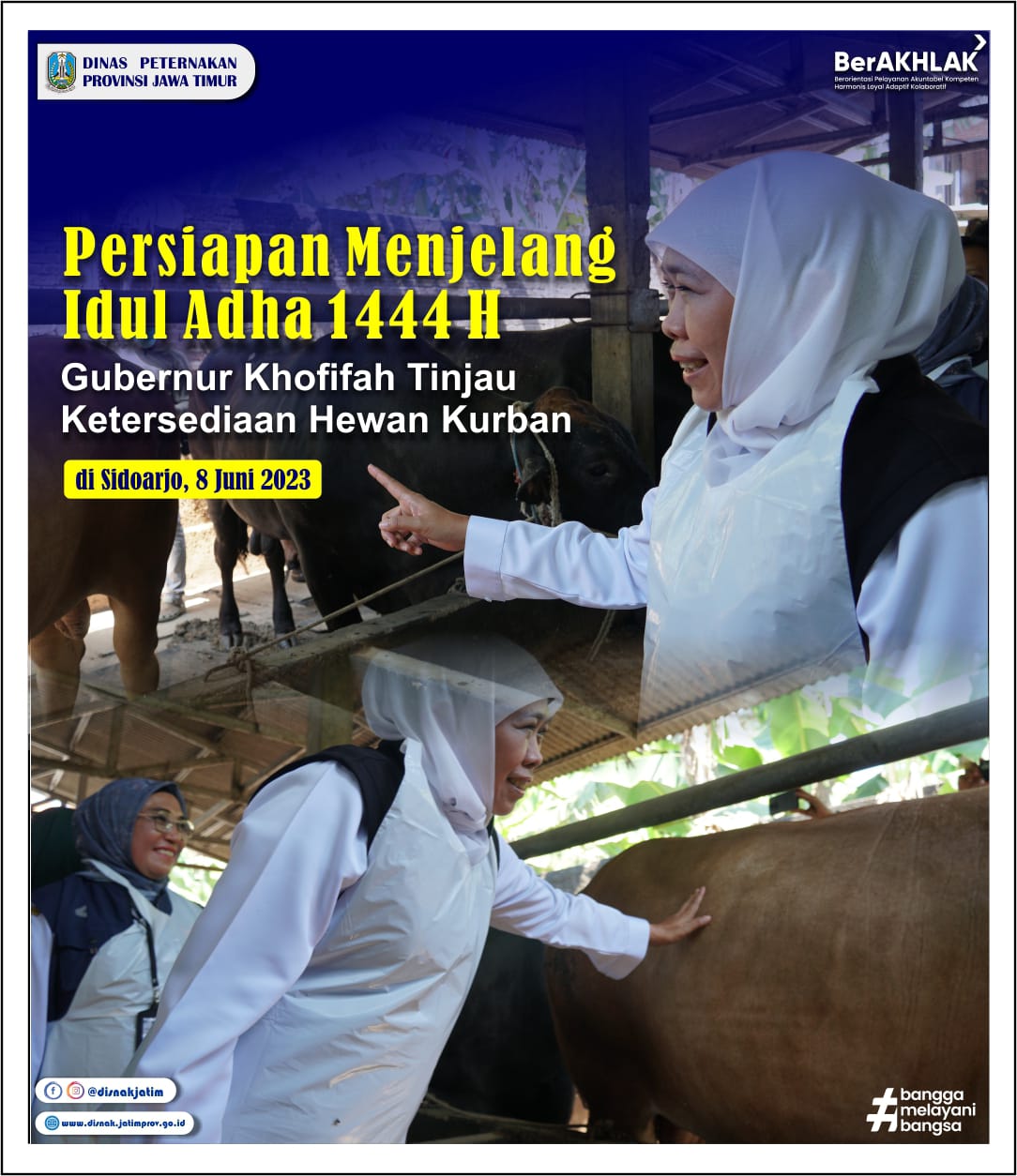 tinjauan hewan kuran 2023