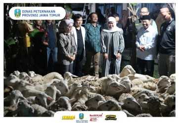 tinjauan ke islamic center 144h