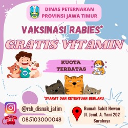 Vaksinasi rabies gratis vitamin