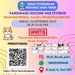 vaksin kucing gratis 2023