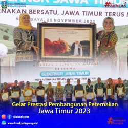 gelar prestasi 2023