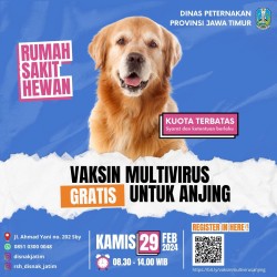 Vaksinasi Multi virus Gratis Untuk Anjing