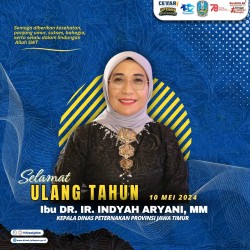 ulang tahun kadis 2024