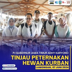 tinjau hewan kurban 2024