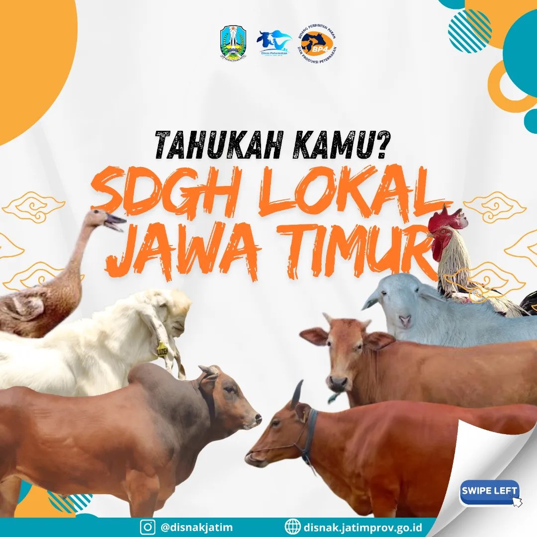 SDGH Hewan Jawa Timur
