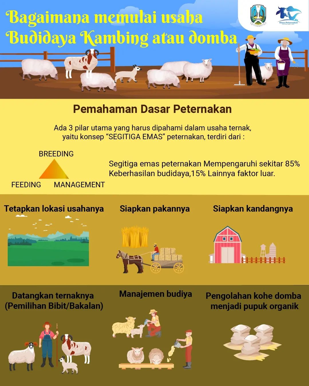 usaha budidaya kambing/domba